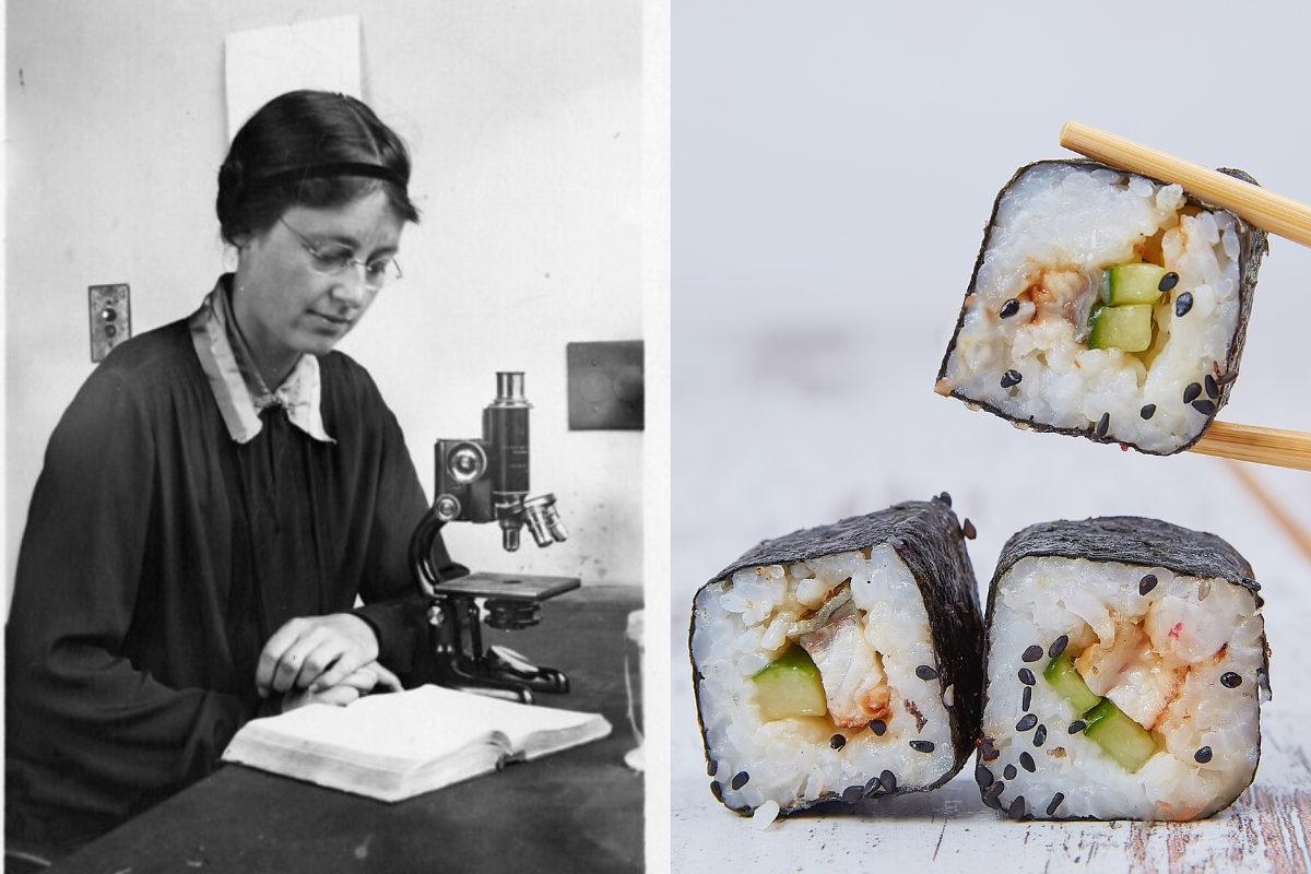 Blog: How a University of Manchester Researcher from Leigh saved Sushi
